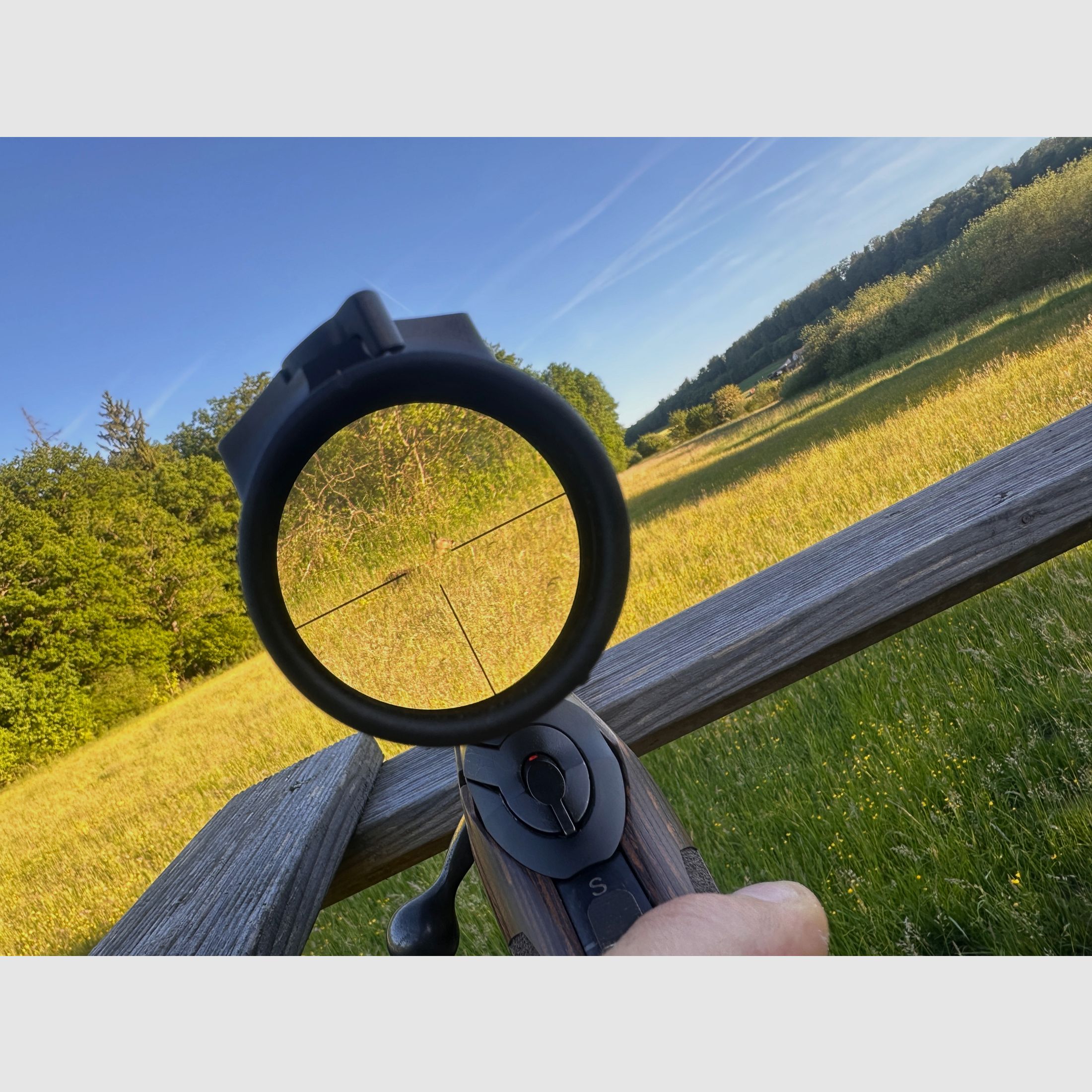 Capra sumit 6 Links 8x57is, Bild 6 von 6