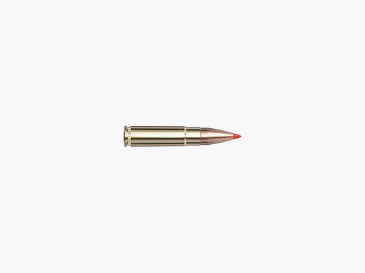 Hornady 300 Blackout 110 gr V‑MAX® Hornady BLACK® – 20 pcs.
