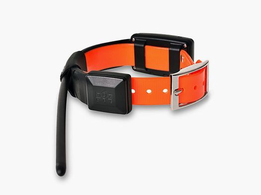 COLLAR ADICIONAL GPS X20 (COLLAR+CARGADOR)