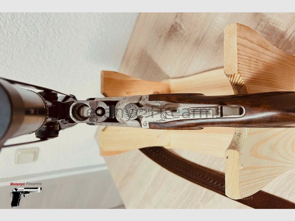 Blaser ohne 12/70;.30-06Spring