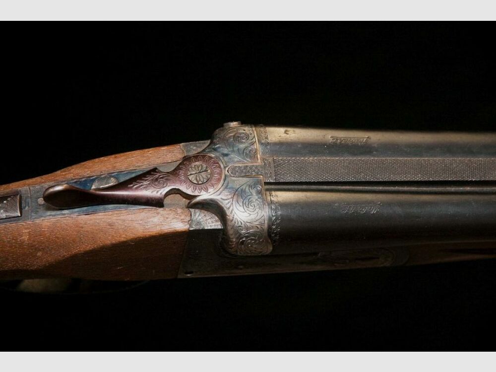 Double-barreled shotgun, cross shotgun, dog training, etc.