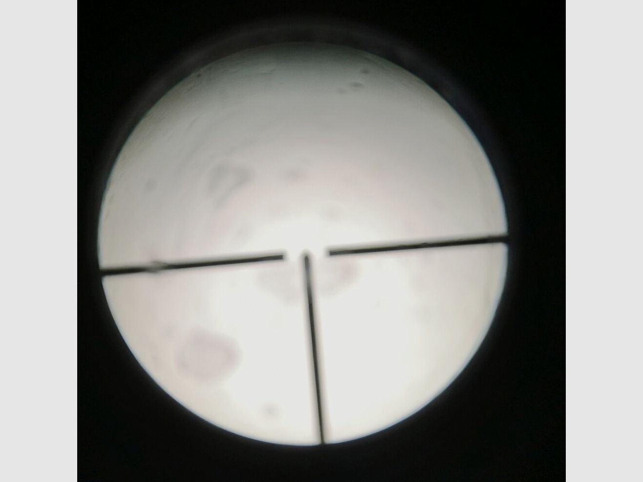 Fortuna Suhl 32