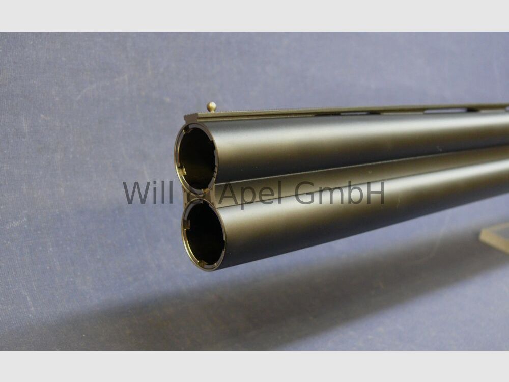 Blaser F16 BDF Game
