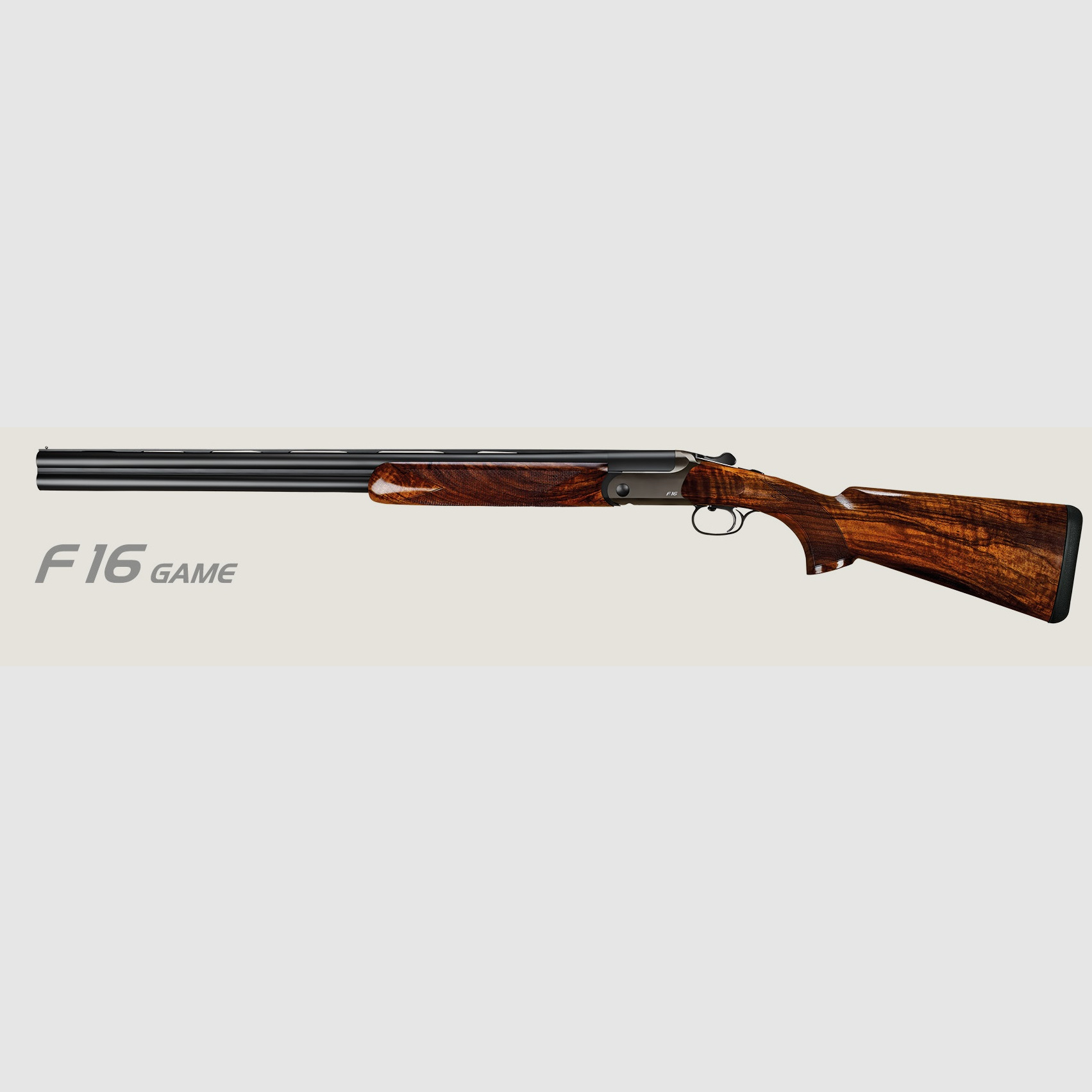 Blaser F16