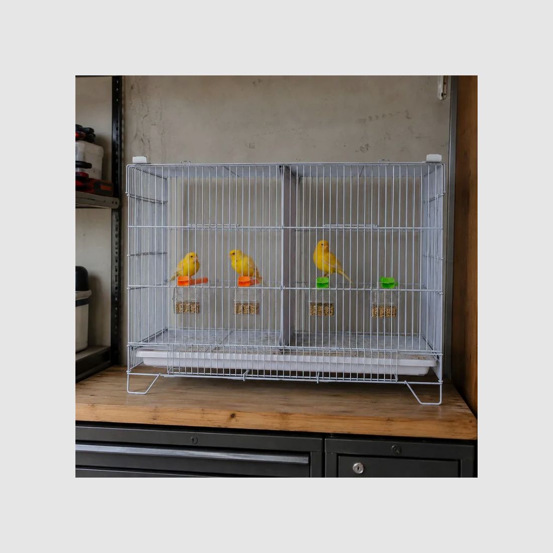 Cage d'élevage canaris, image 5 sur 9