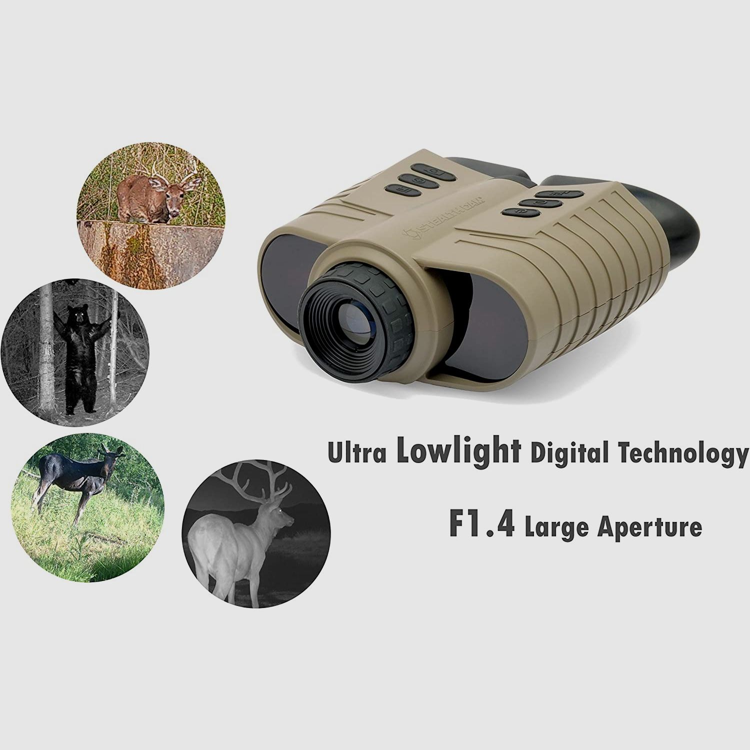 Night vision binoculars
