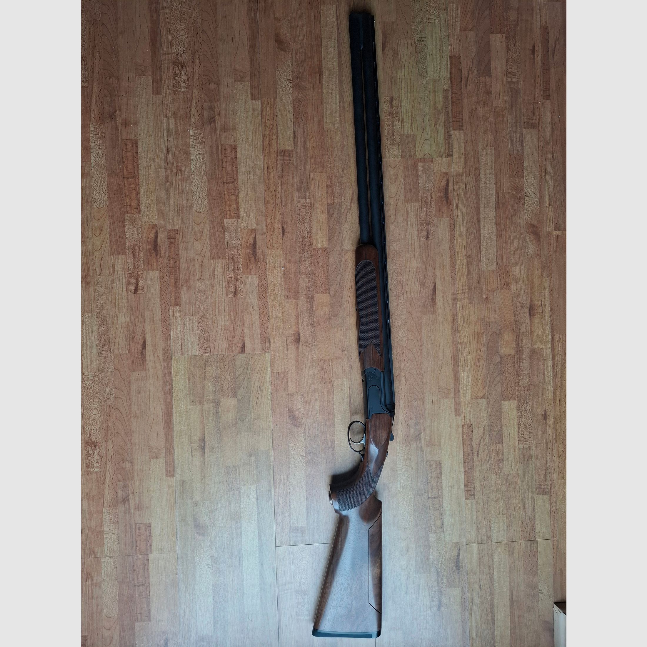 Zoli Kronos Sporting 12/76