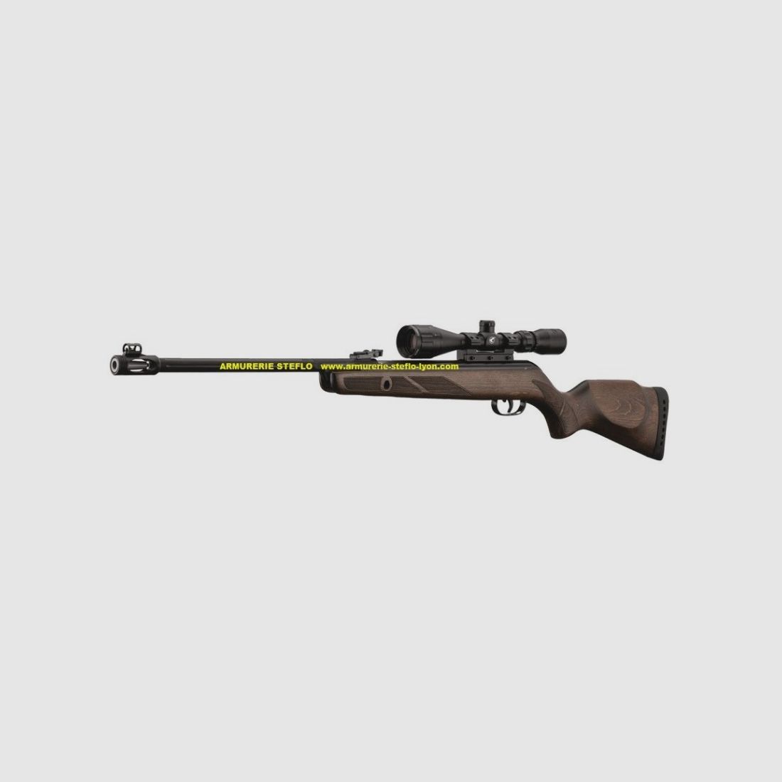 Gamo Hunter 440AS with Scope 3-9x40