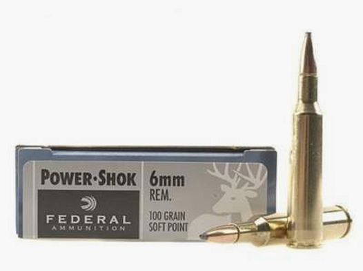 Federal Power-Shok 6mm Rem. 100GR JSP 20 cartouches