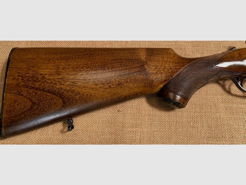 F.SARRIUGARTE ELOGOIBAR-ESPANS Hubertus 20