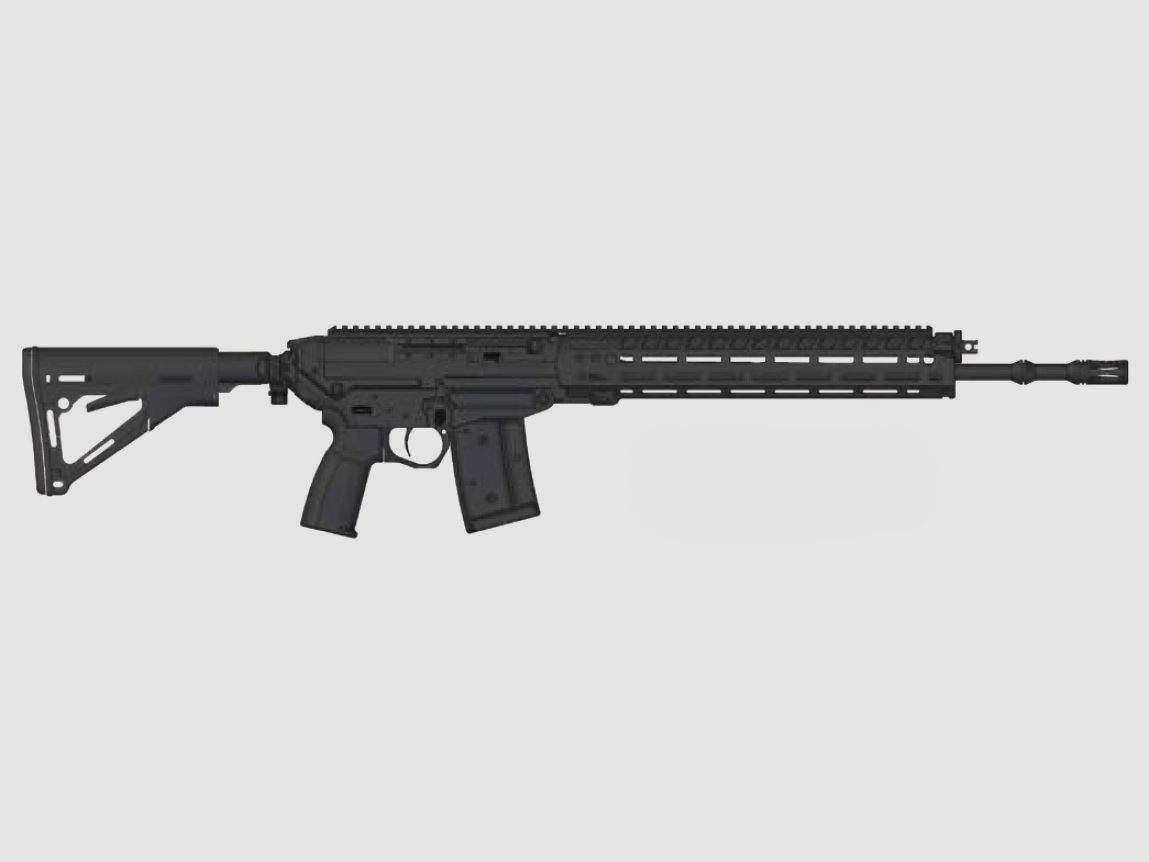 Sig Sauer SG560 .223 Rem.