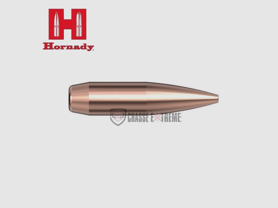 600 Geschosse HORNADY Kal. 22 75gr Bthp