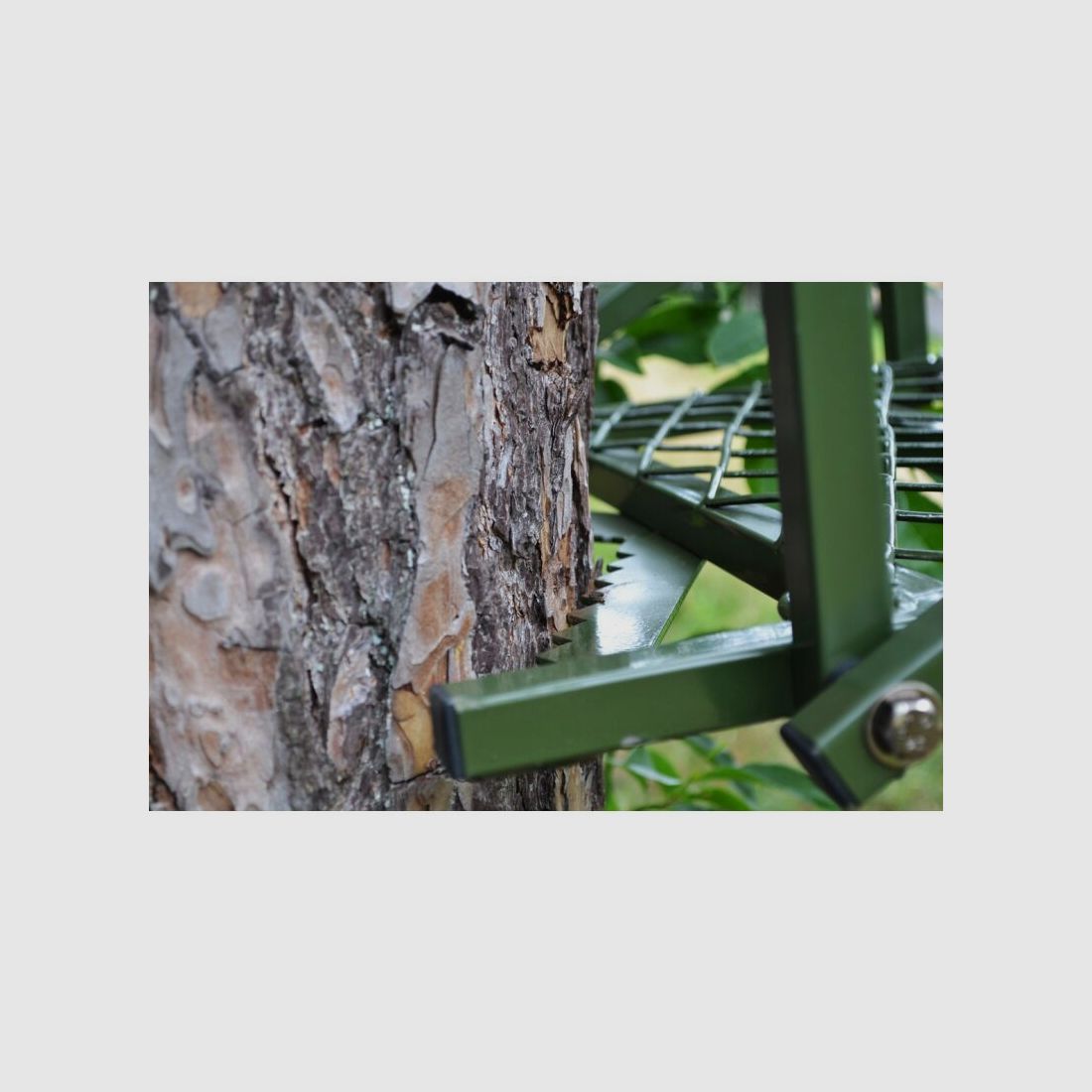 Farm-Land Ansitzleiter Wiesenblick im SPARSET a 3 Stk