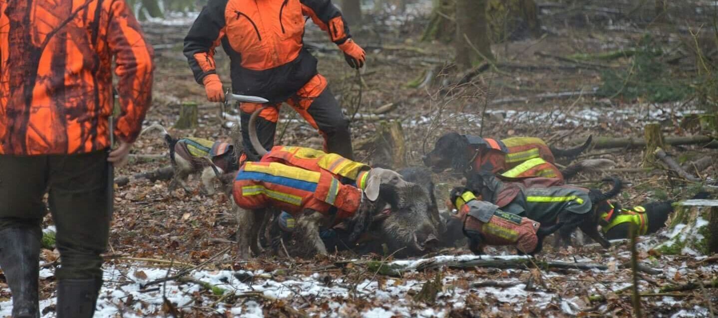 The Best Boar Protection Trousers
