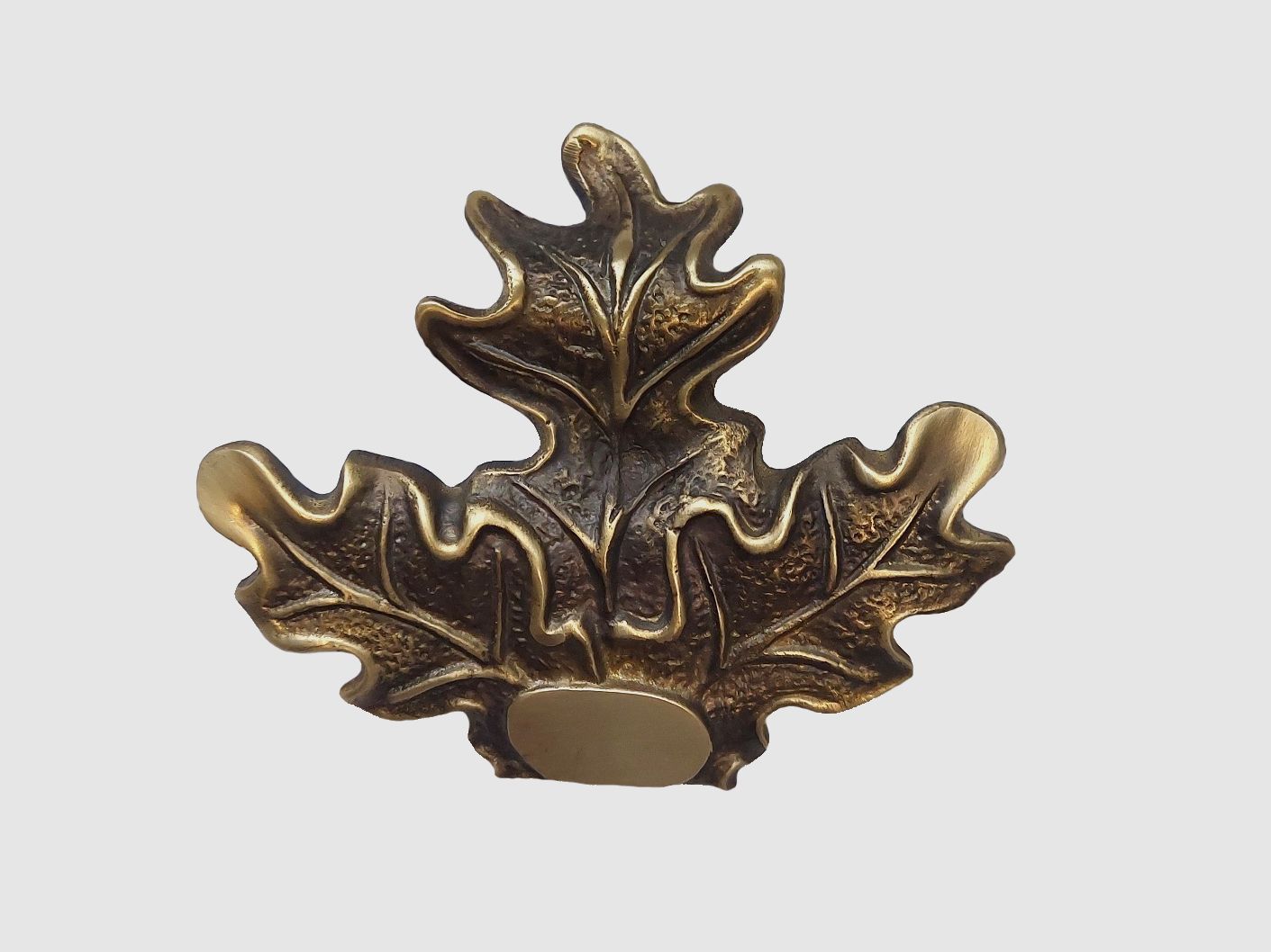 5etta Foglia di quercia in ottone