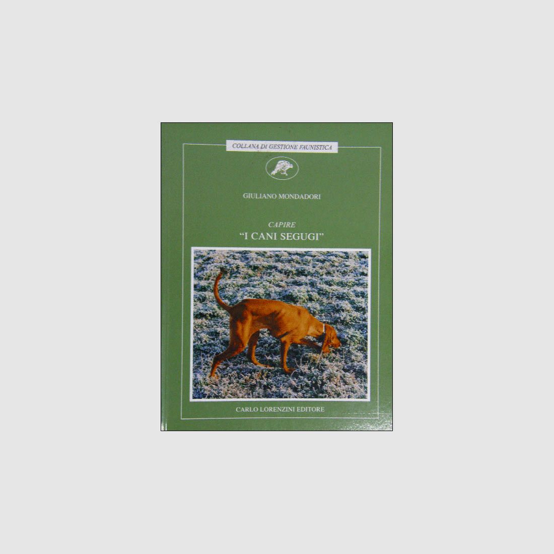 Buch: Die Segugio-Hunde verstehen