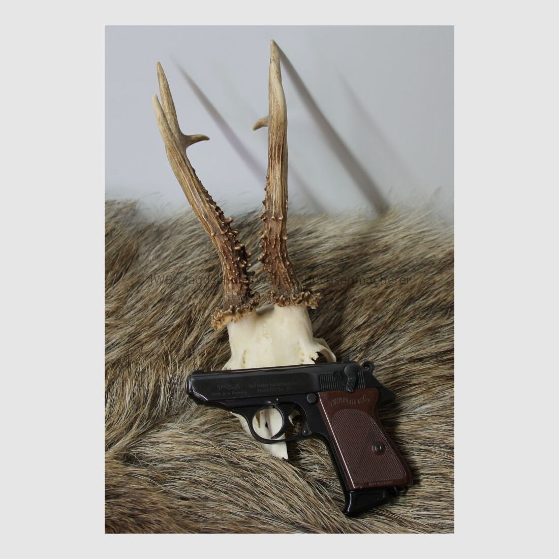 Walther PPK Kaliber .22 lr