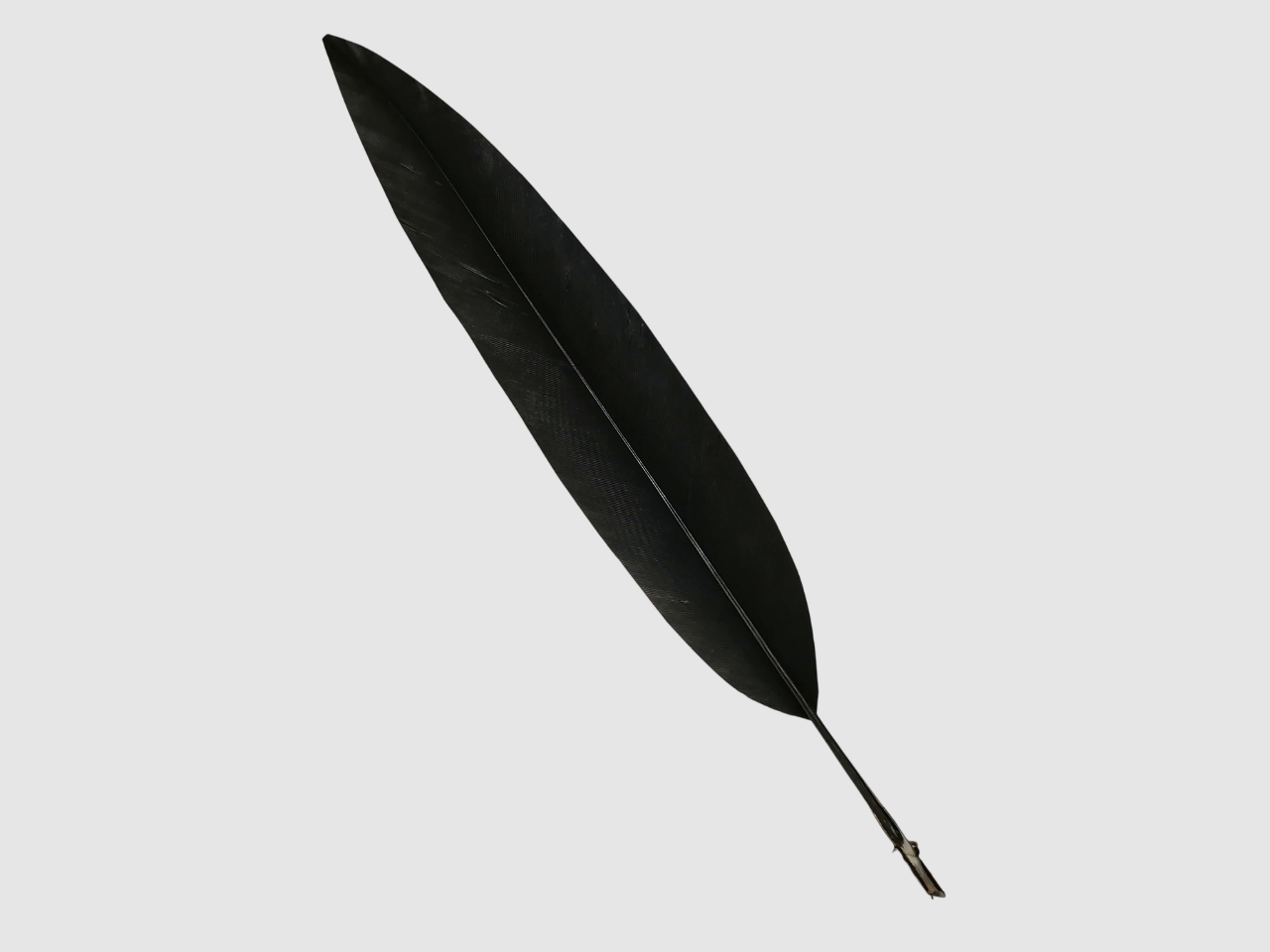 Penna ginnica per cappello alpino
