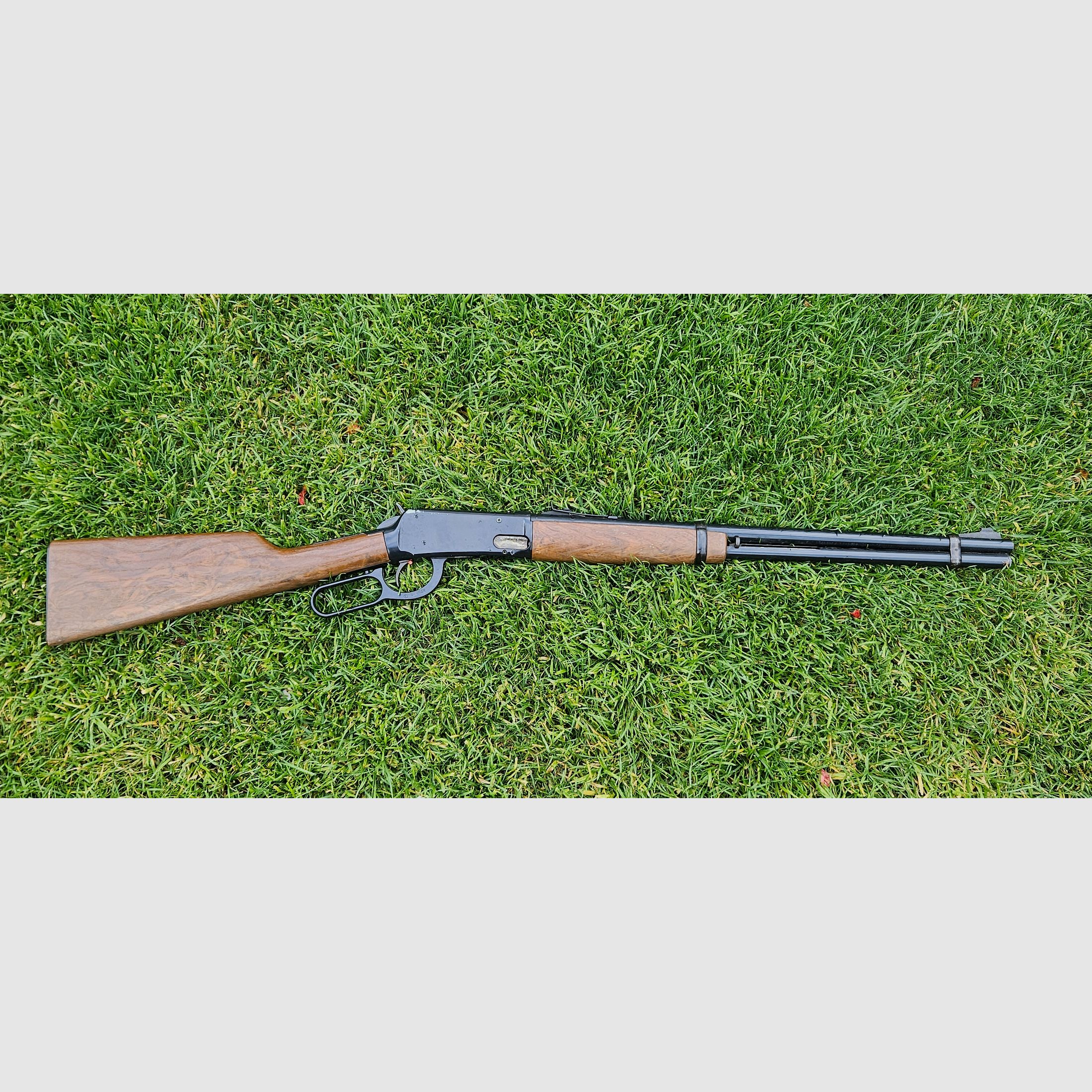 Daisy Rogers AR U.S.A cal.4,5