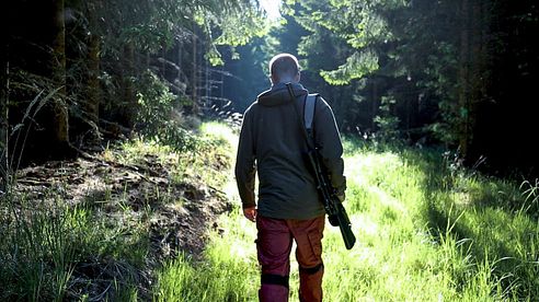 Vom Vegetarier zum Jäger: "Ich esse nur Tiere, die ich selbst getötet habe."