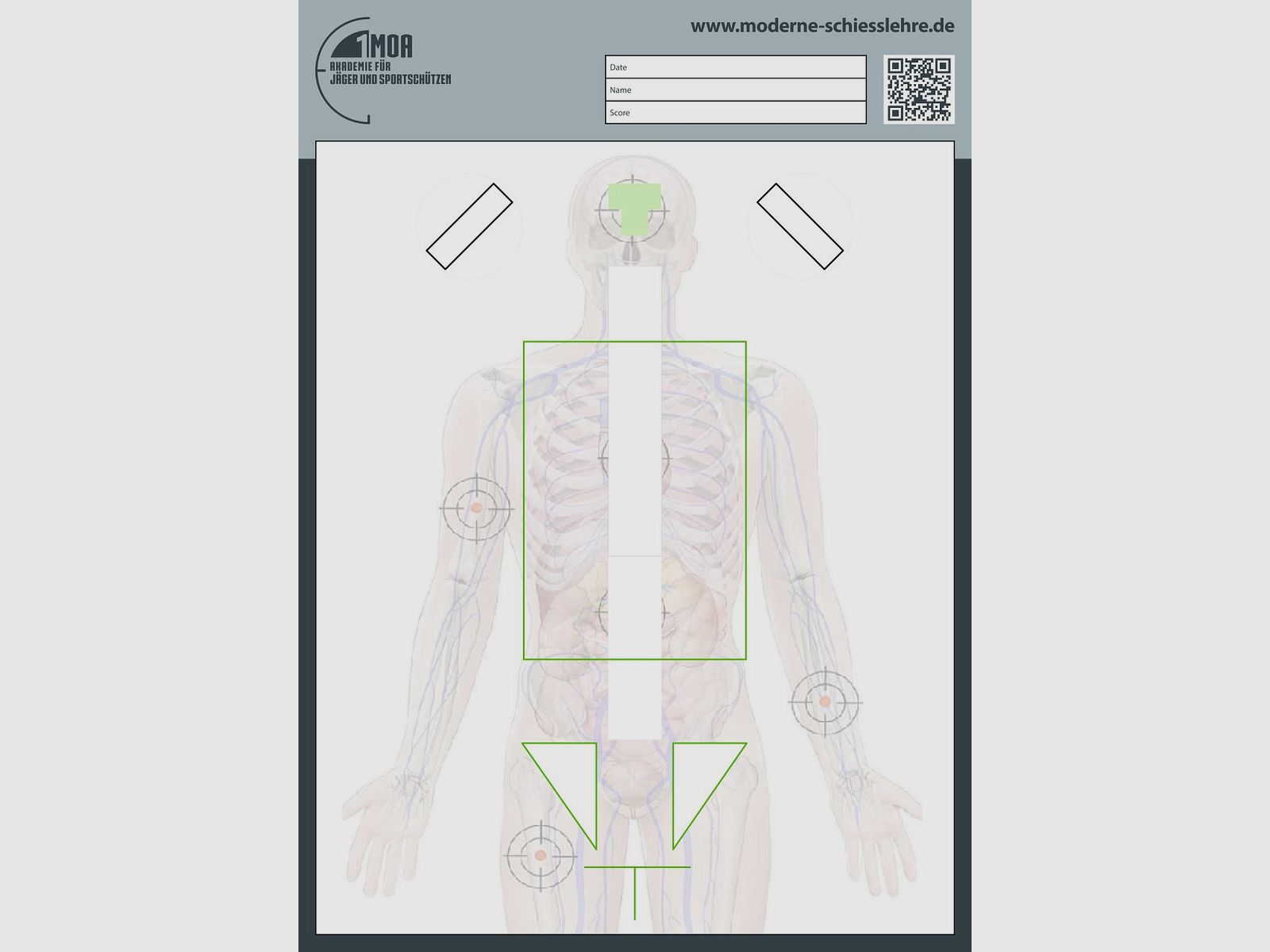 1MOA - Anatomy torso target DIN A1 realistic handgun training for authorities...