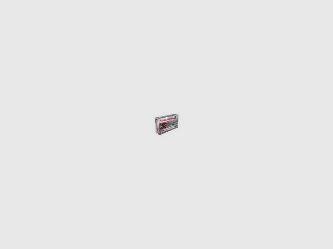 40 Cart. winchester power point .338 wm 200 gr 12,96