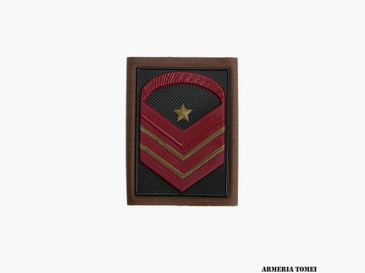 ARMÉE – TUBULAIRE SERGENT MAJOR CHEF SÉLECTIONNÉ QUALIFICATION SPÉCIALE (SINGULIER)
