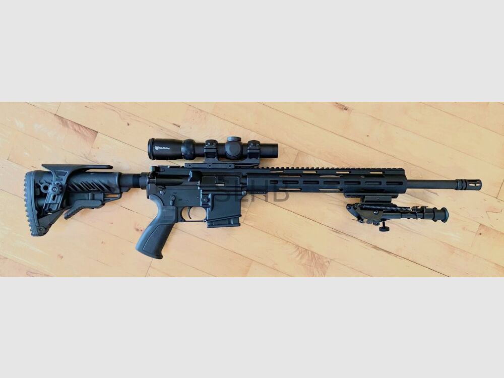 LDT (Schmeisser) LDT 15 (SLHB Bundle)