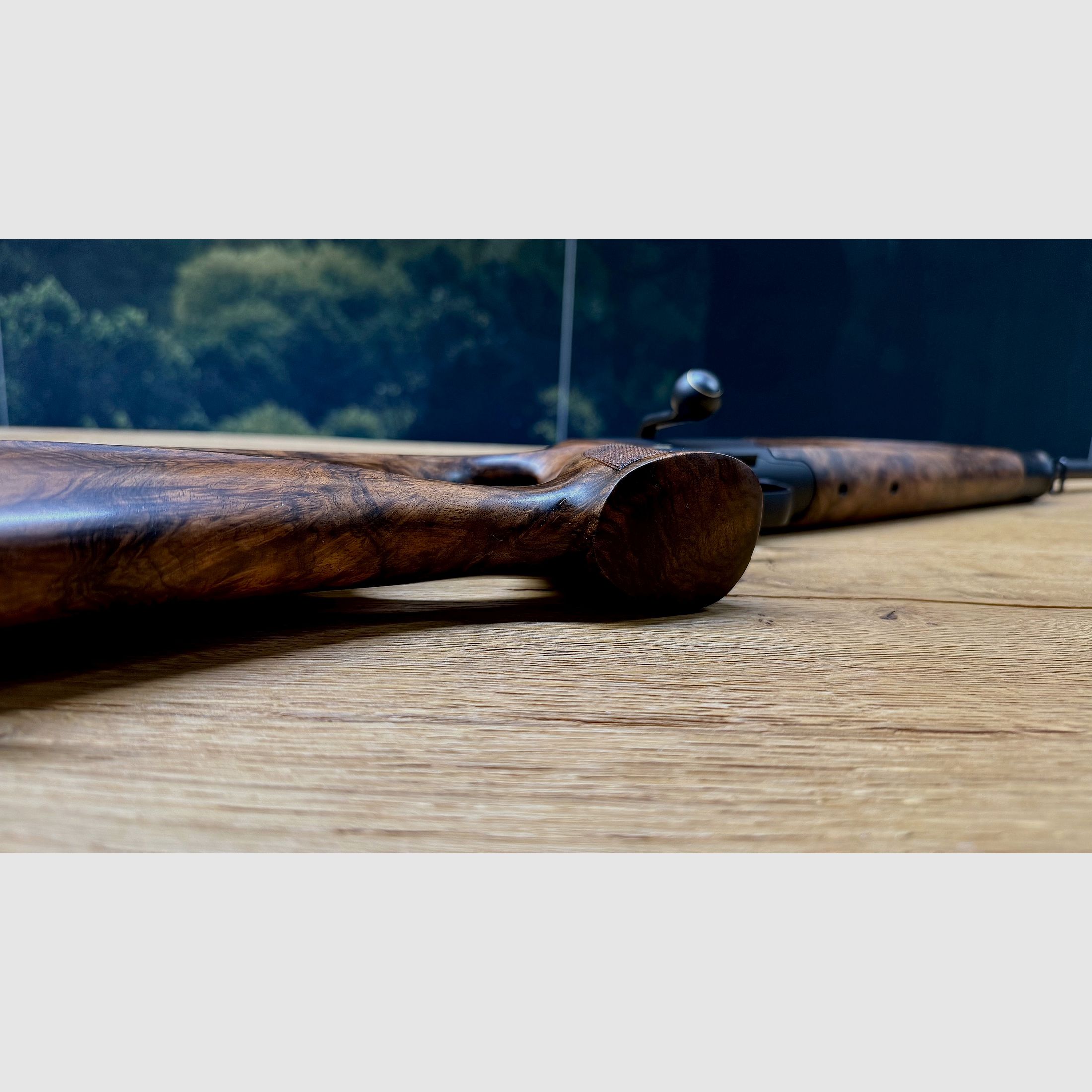 Blaser R8 mit traumhaftem Zubehör-Lochschaft Holzklasse 8-9, goldenes R8 Logo, Kammergriff Selours, gekürzter Lauf, M15x1 Gewinde, Standard-Kaliber wählbar