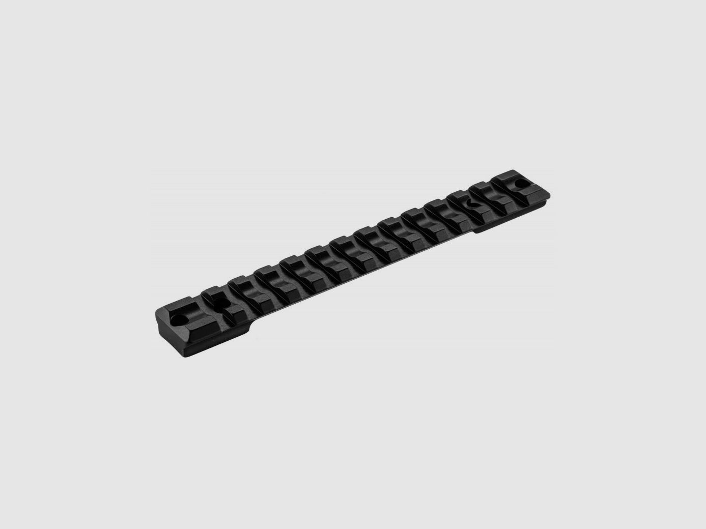 Rail Picatinny lunga Sauer 101 RECKNAGEL, immagine 2 di 5