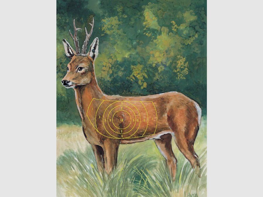 Jagdzielscheibe Rehbock 10stk.