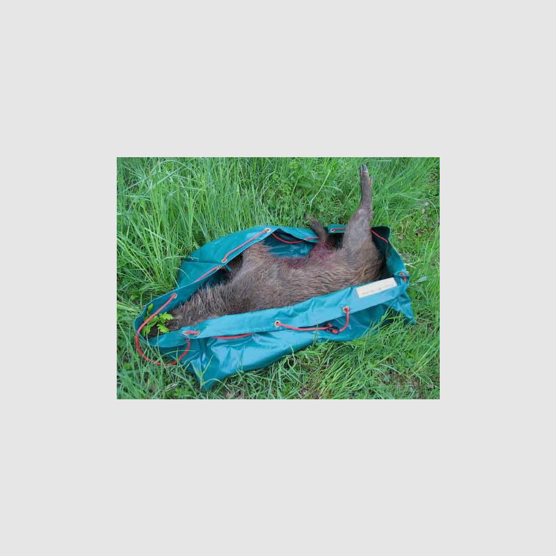 Flexible, faltbare Wildwanne FLEXI 100x80x30 cm