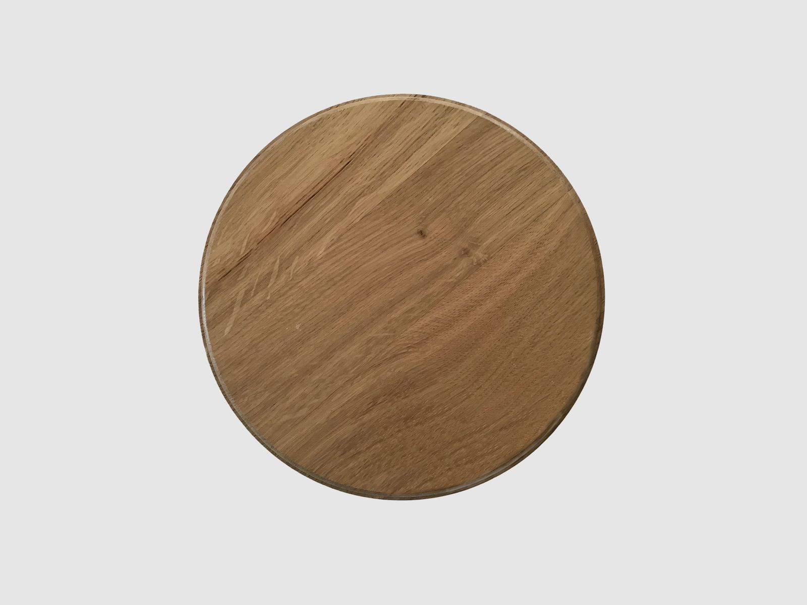 5etta trofee schild wild zwijn/bever, licht 18 cm