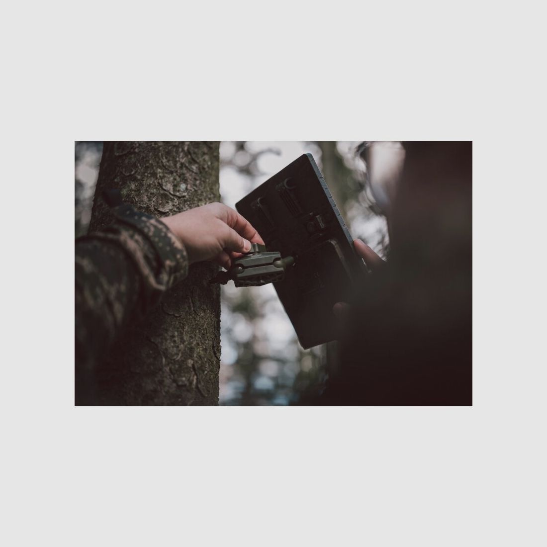 Thirty-six tree tripod with ball joints