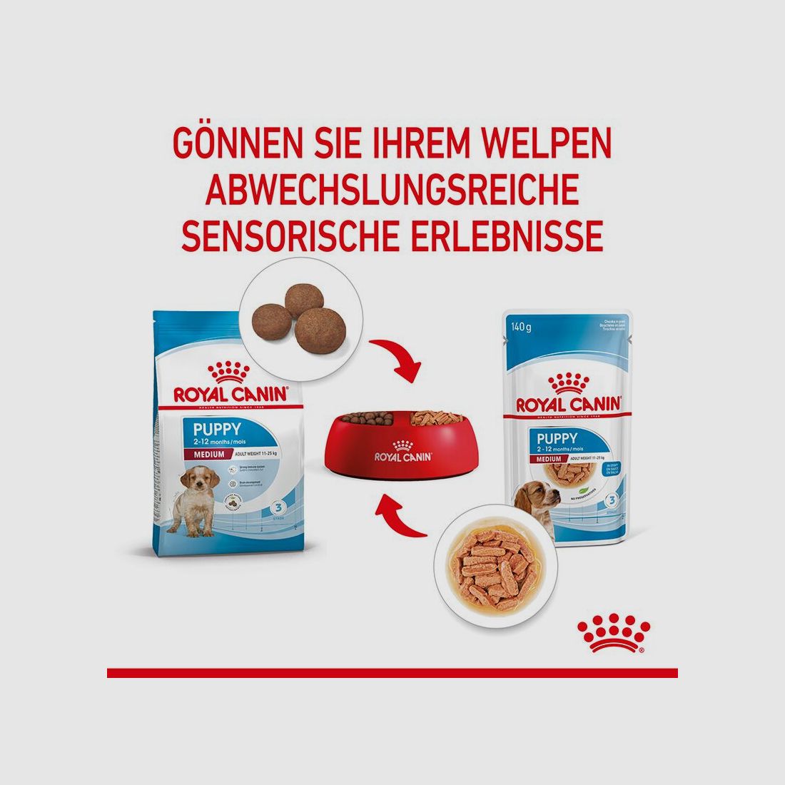 ROYAL CANIN Mittelgroße Hunde Nassfutter Welpen bis zum 12. Monat 10x140 g