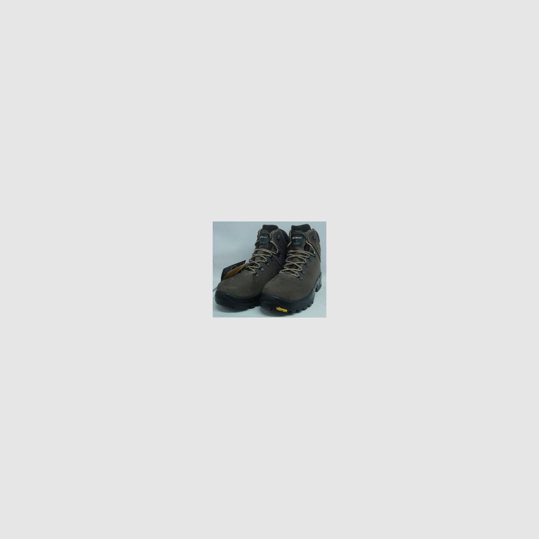Spaniel - Gr. 43