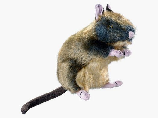 Hunter Hundespielzeug Wildlife Rat M 20 cm