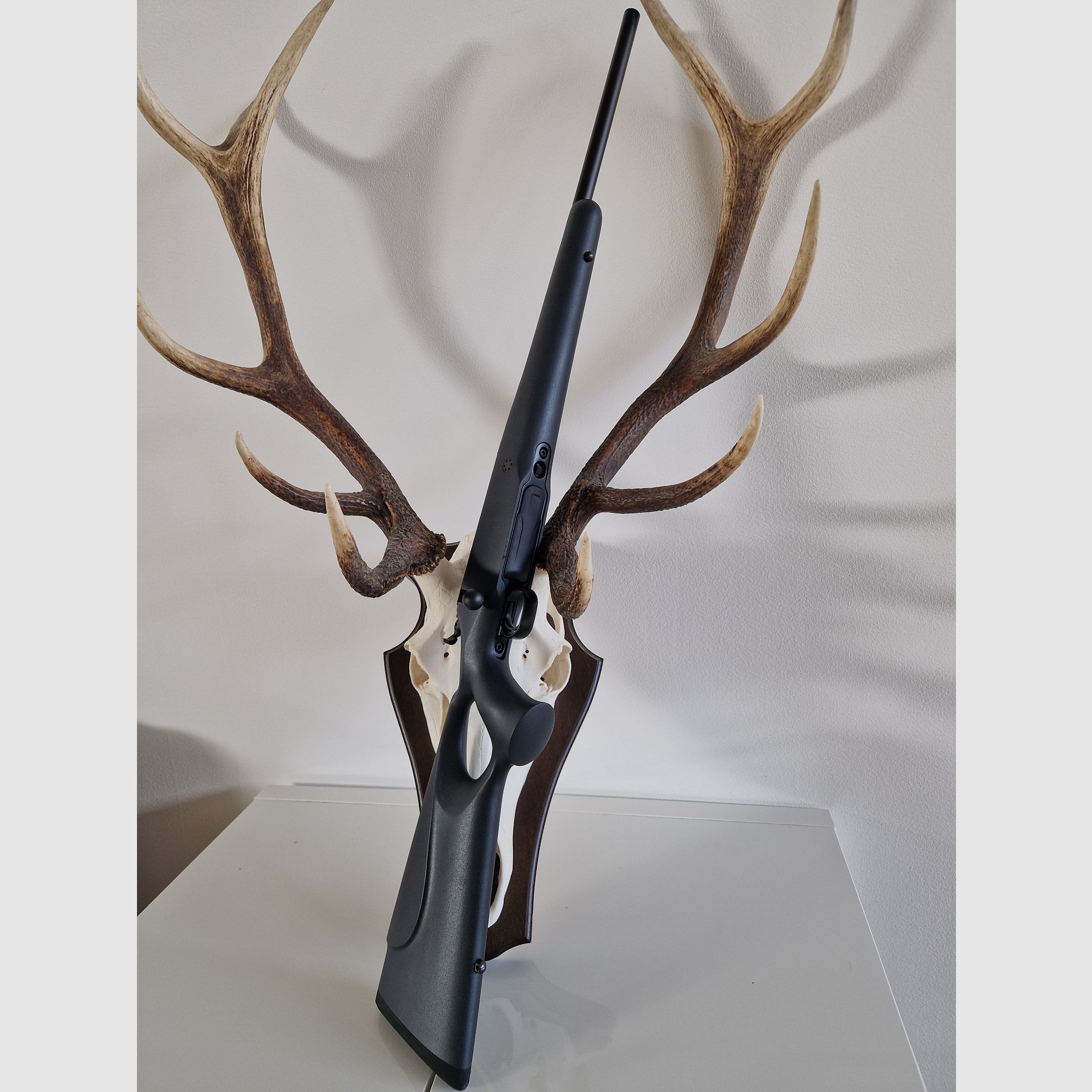 Mauser M12 Grey Max .308Win