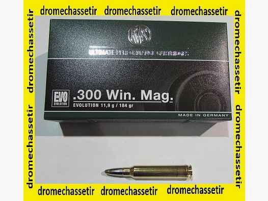 1 boite de 20 cartouches calibre 300 Winchester Magnum , EVO 184 grains, 11,9 grammes