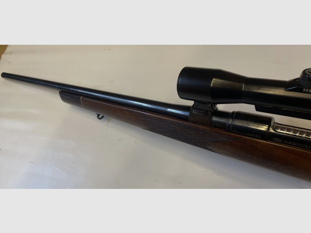 Krico 600