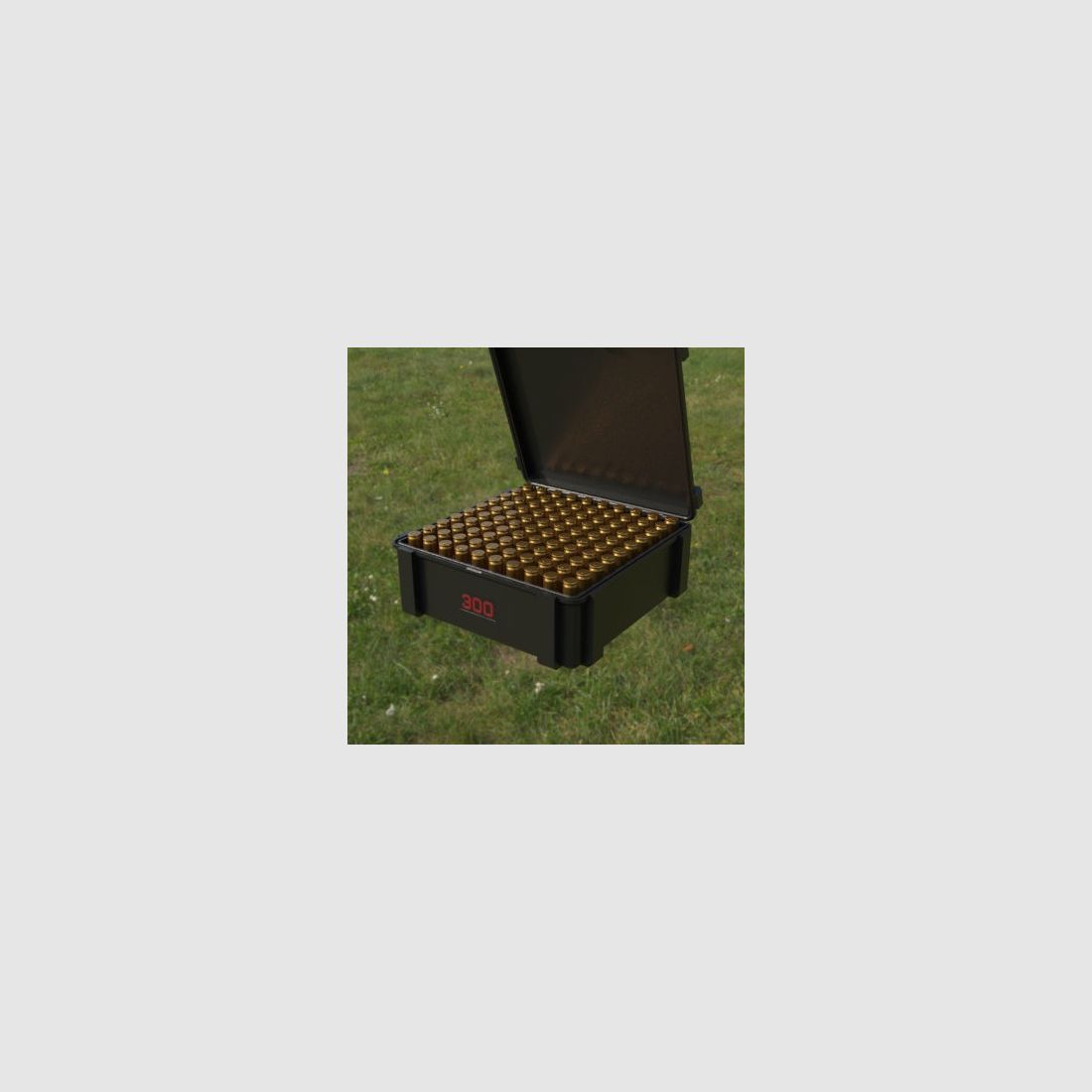 Filamelt Munitionsbox / .300 AAC Blackout / ‘Klappdeckel’ / Patronenbox, Ammo Box