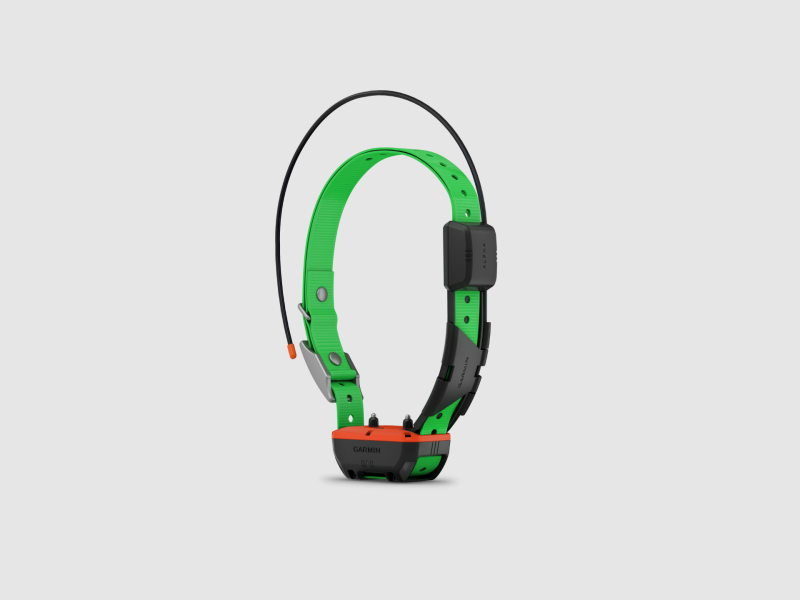 Pack GPS Garmin Alpha 300F TT25 - Version F, Bild 5 von 6