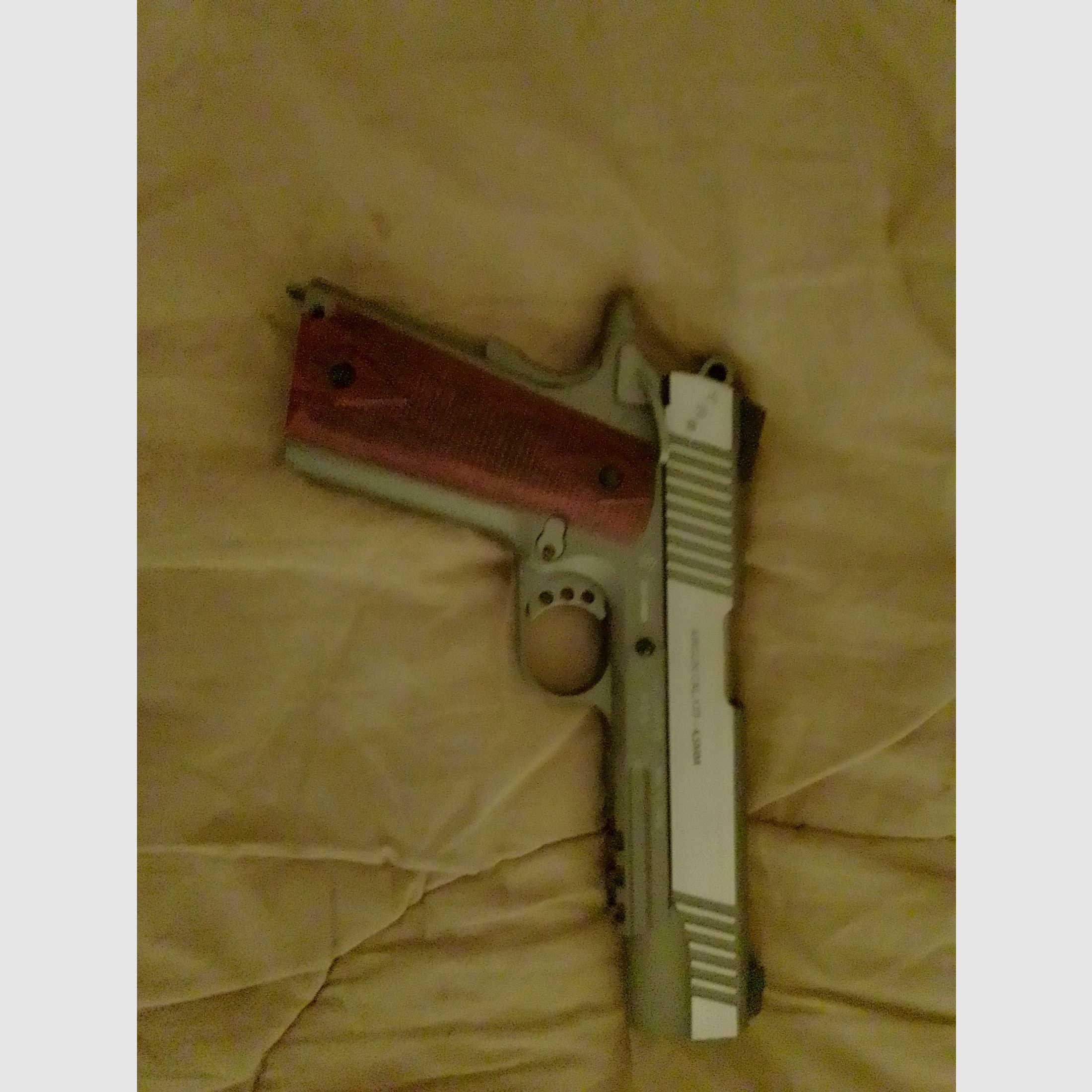 Swiss Arms P1911