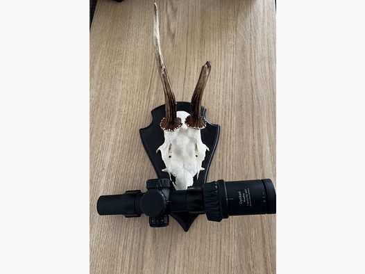 Drive hunting scope / riflescope / MeoPro Optika 6 1-6x 24 RD SFP
