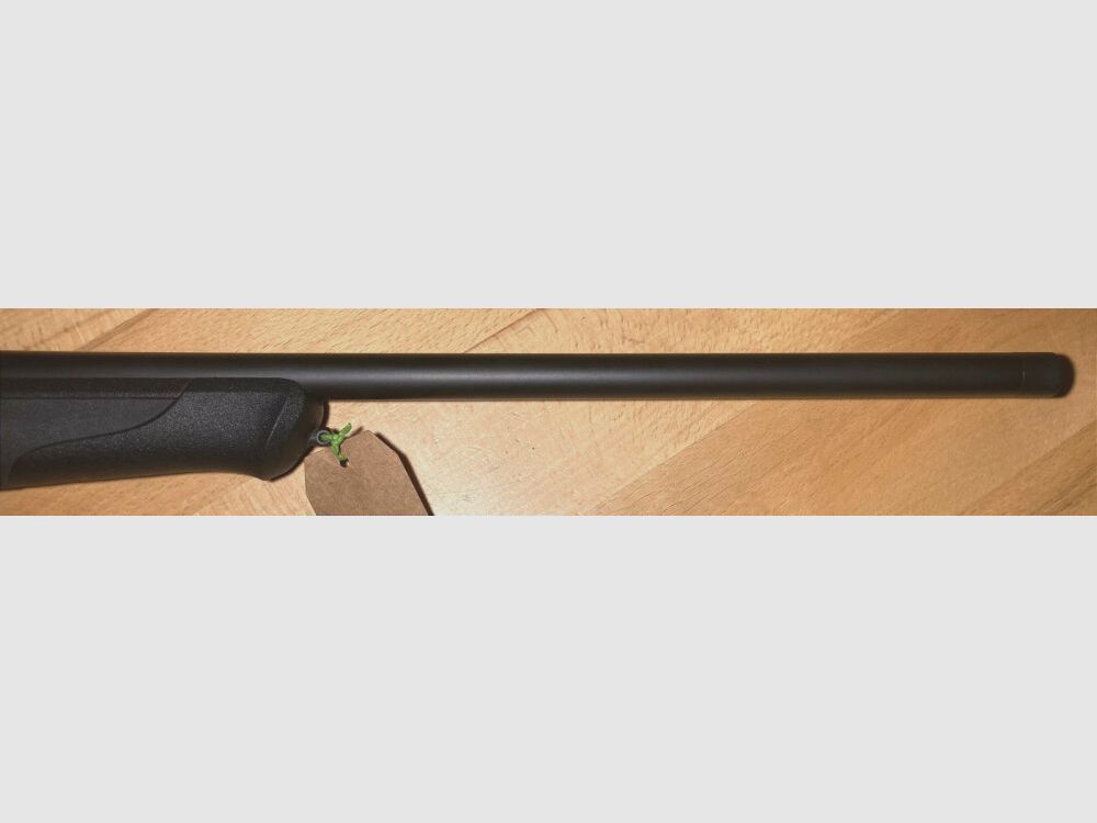 Blaser R8 Professional Success