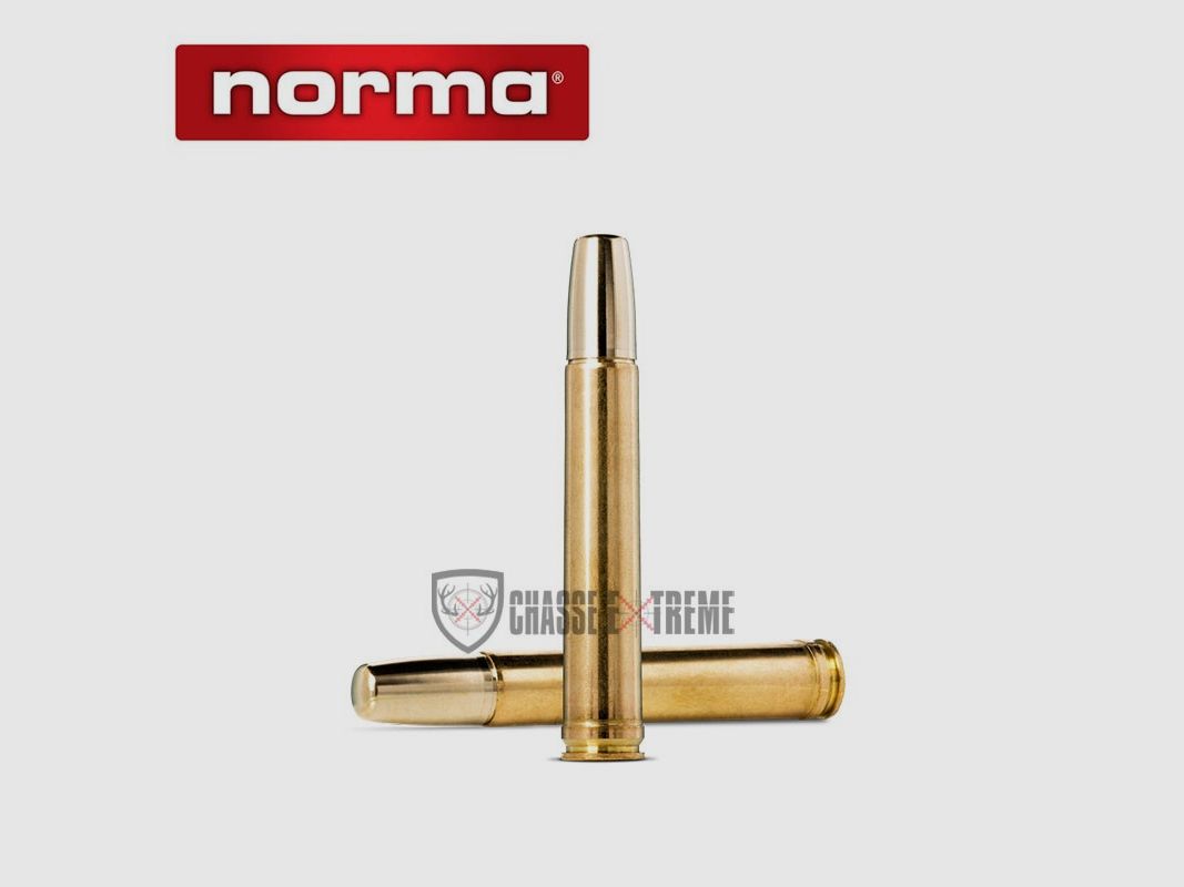 10 Patronen NORMA Solide Kal. 458 Win Mag 500gr, Bild 1 von 2