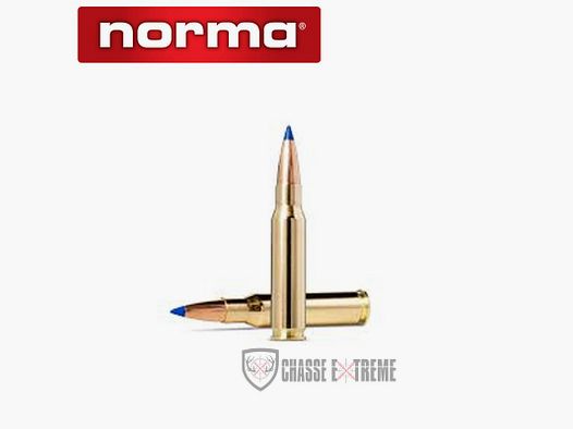 20 nabojów NORMA Kal. 308 Win-180gr Bondstrike Extreme