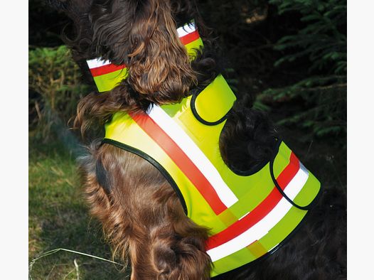 Hundewarnweste
