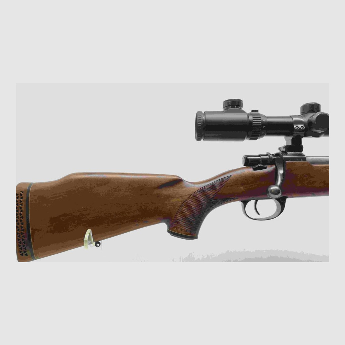 Zastava with Roedale Hunter 50i & Dontop 2.5-10x56E scope