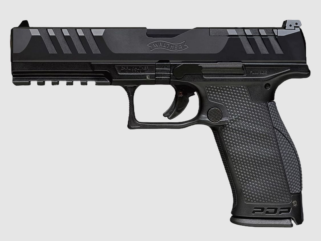 PDP Taille Complète 5"